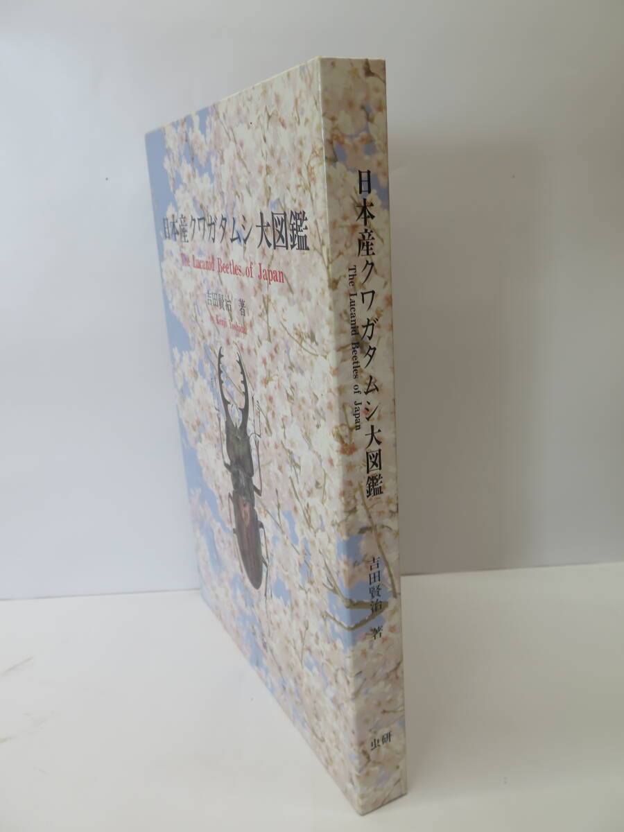 絶版】日本産クワガタムシ大図鑑 虫研 吉田賢治著 1996年発行 - 昆虫 絶版】日本産クワガタムシ大図鑑 虫研 吉田賢治著 1996年発行 - 昆虫