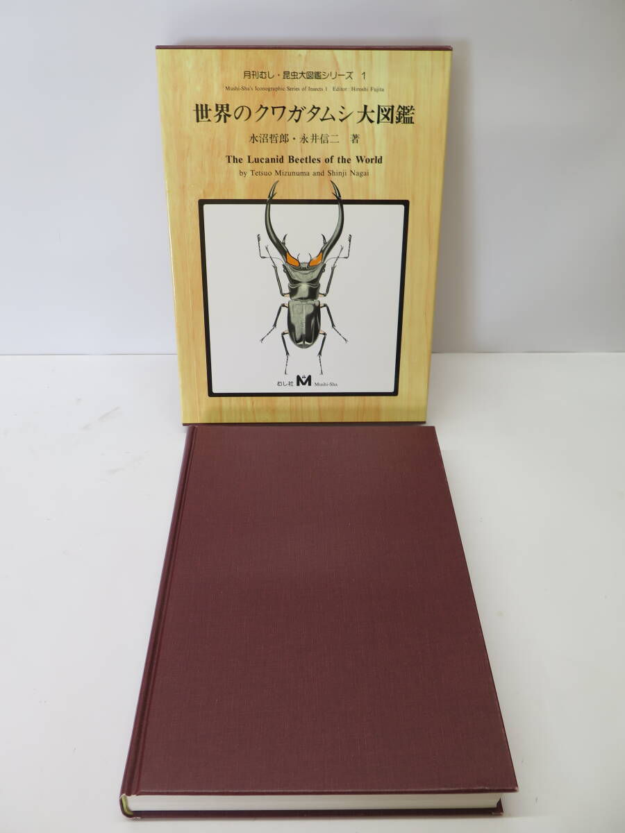 超希少】【初版、美品】古本 図説日本のゲンゴロウ Dytiscoidea 超希少】【初版、美品】古本 図説日本のゲンゴロウ Dytiscoidea