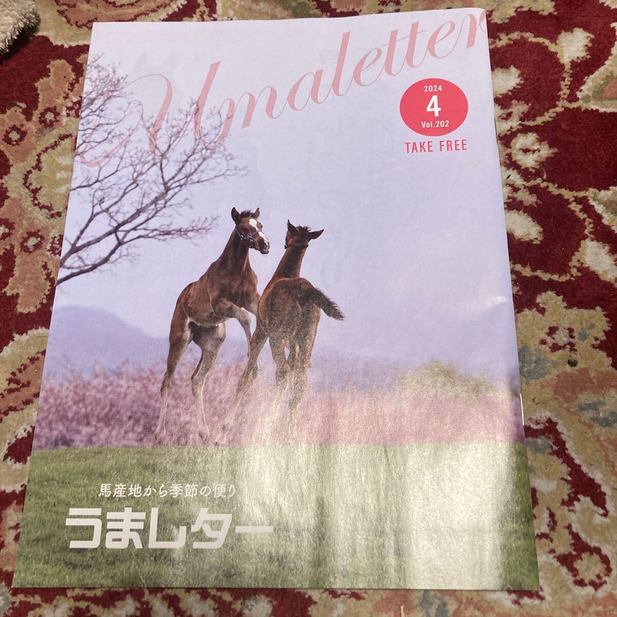  magazine [.. letter ~ horse production ground from season. flight .~]2024 year 4 month number Vol.202