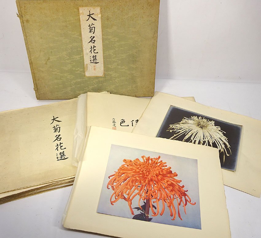 緑屋h■ 画集　図録　古書　「大菊名花選」　52図　和書　美術本　昭和三年発行　　mae/4-335/11-4#120_画像1