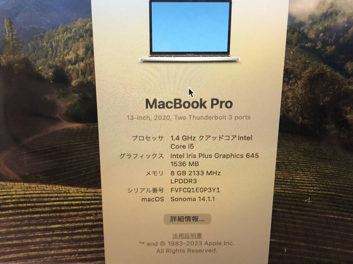 Apple MacBook Pro A2289 256G シルバー　2020年　　本体のみ　中古_画像6