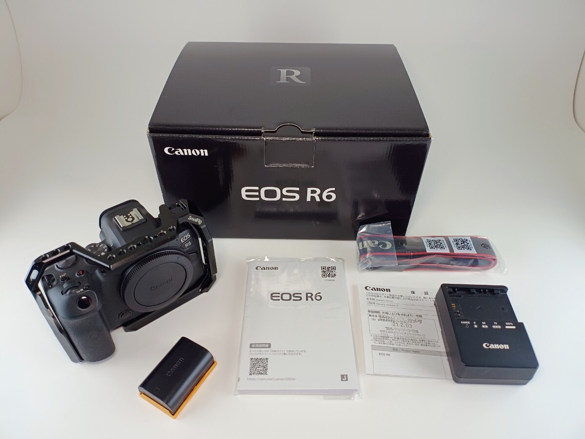 45250円 【美品】Canon EOS R6 ボディ キヤノン ミラーレス一眼 45250円 【美品】Canon EOS R6 ボディ キヤノン ミラーレス一眼