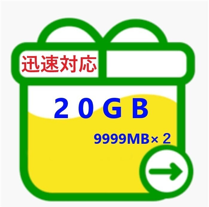 mineo パケットギフト　マイネオパケットギフト　20GB 9999MB×2、_画像1