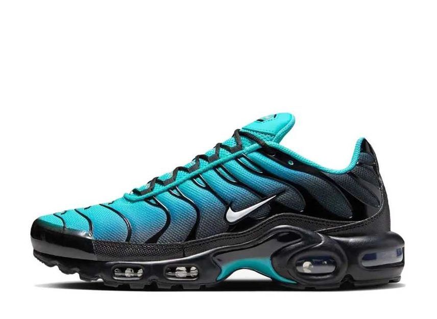 Nike Air Max Plus "Light Retro" 26.5cm DM0032-401_画像1