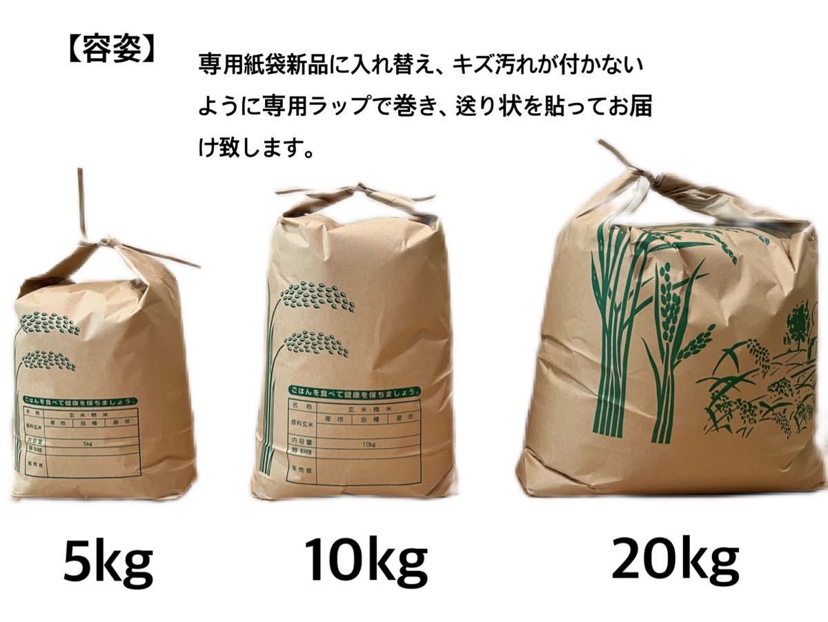 【新米　令和5年産】淡路島産　キヌヒカリ　白米5キロ　低農薬　産地直送　無洗米対応可能