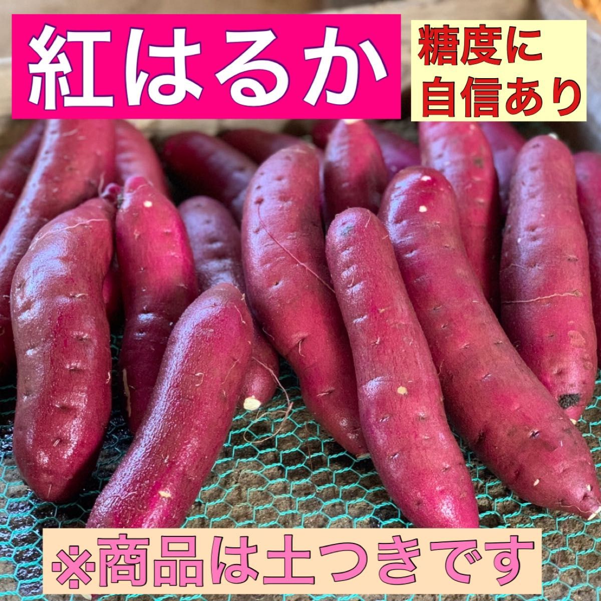 限定セール　【熟成】さつまいも "A級" 紅はるか 千葉県産 サイズミックス 10kg 土付き 