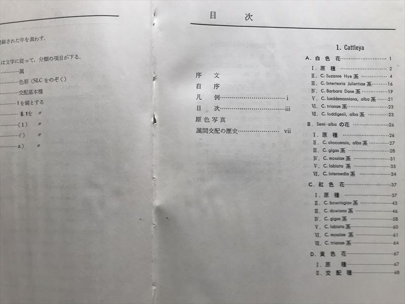 10 365　 カトレヤの品種と系統　A SYSTEMATIC STUDY OF CATTLEYA　　久崎高寛他　　昭和38年9月29日初版発行（1000部）_画像4