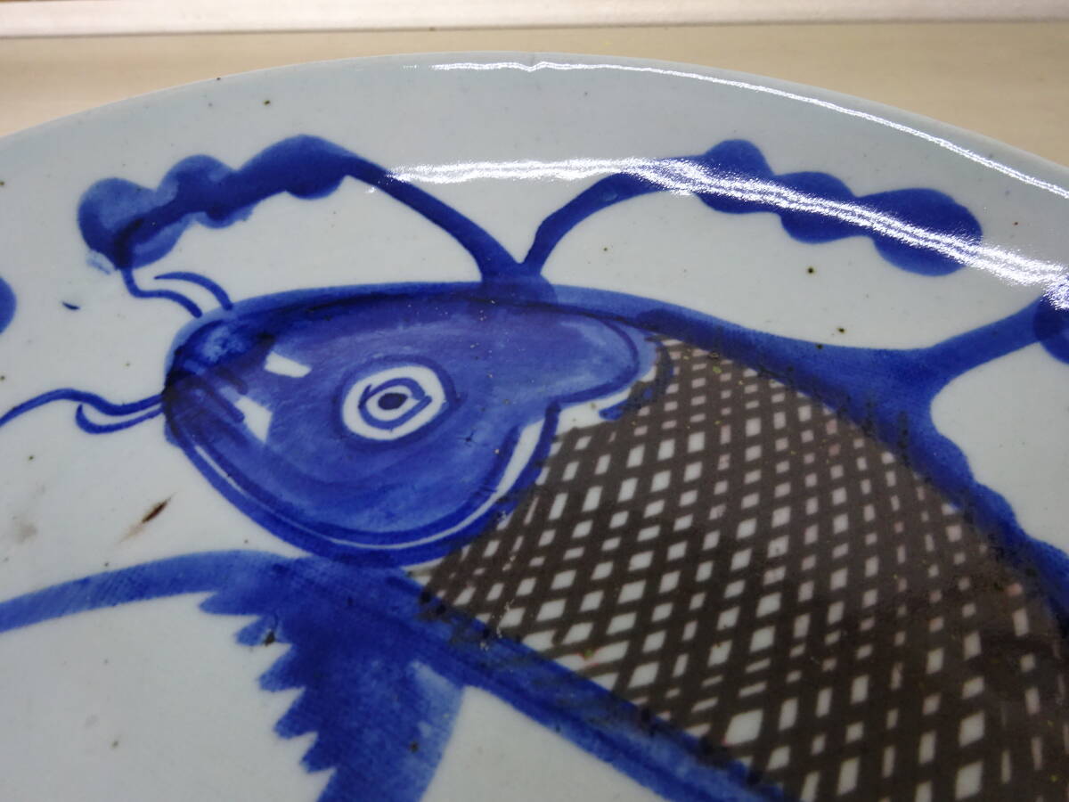 京都8☆染付 大皿 魚紋 飾り皿 盛り皿 径25.5cmの画像7