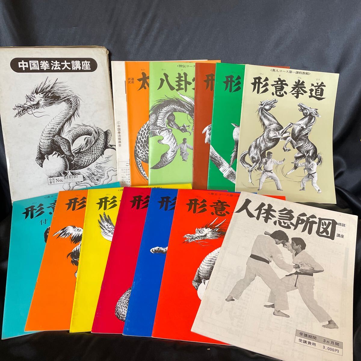 中国拳法大講座 中国拳法振興会 大塚忠彦 人体急所図 拳道 通信講座 格闘技の画像4