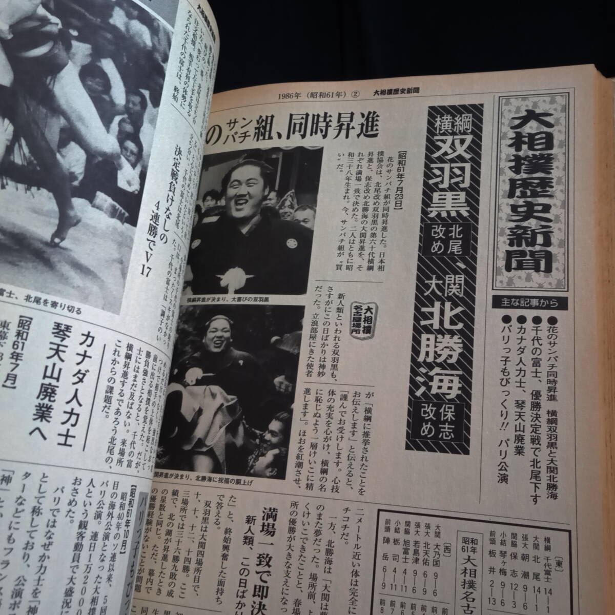 大相撲歴史新聞　角界の出来事まるごとスクープ！　_画像9