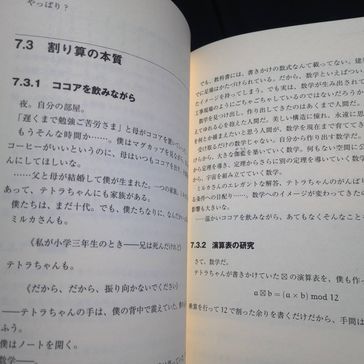 数学ガール2冊『乱択アルゴリズム』『フェルマーの最終定理』_画像5