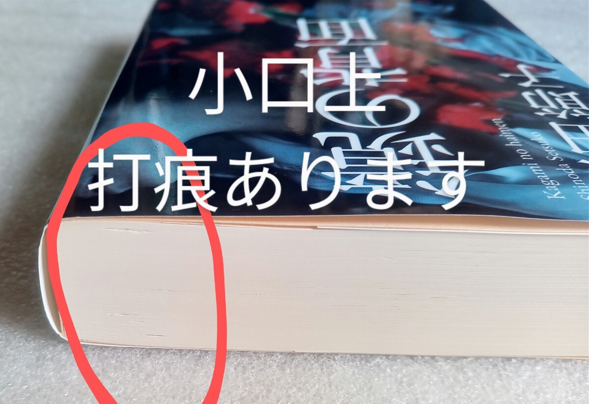 鏡の背面 2021年5月25日 第1刷 集英社発行（著） 篠田節子 ※集英社文庫_画像4