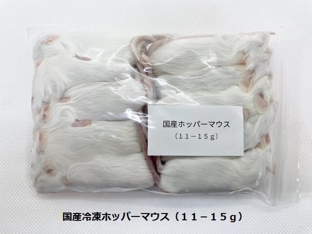 国産冷凍ホッパーマウス（11-15g）10匹セット_画像3