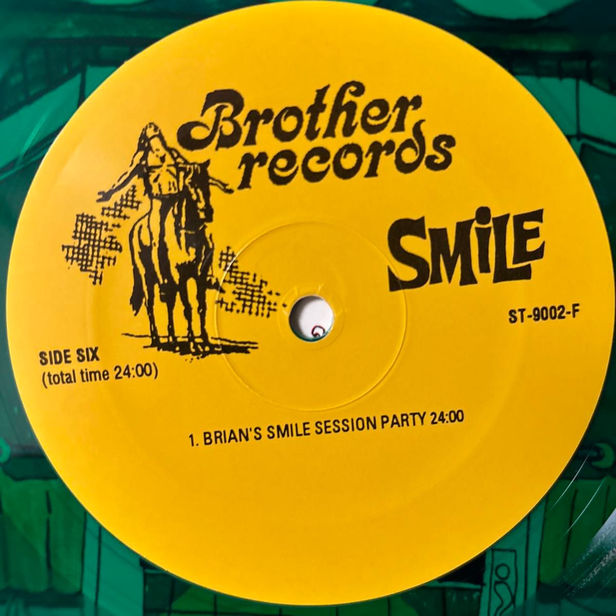 The Beach Boys Smile レコード ビーチ・ボーイズ スマイル vinyl アナログ Brian Wilson