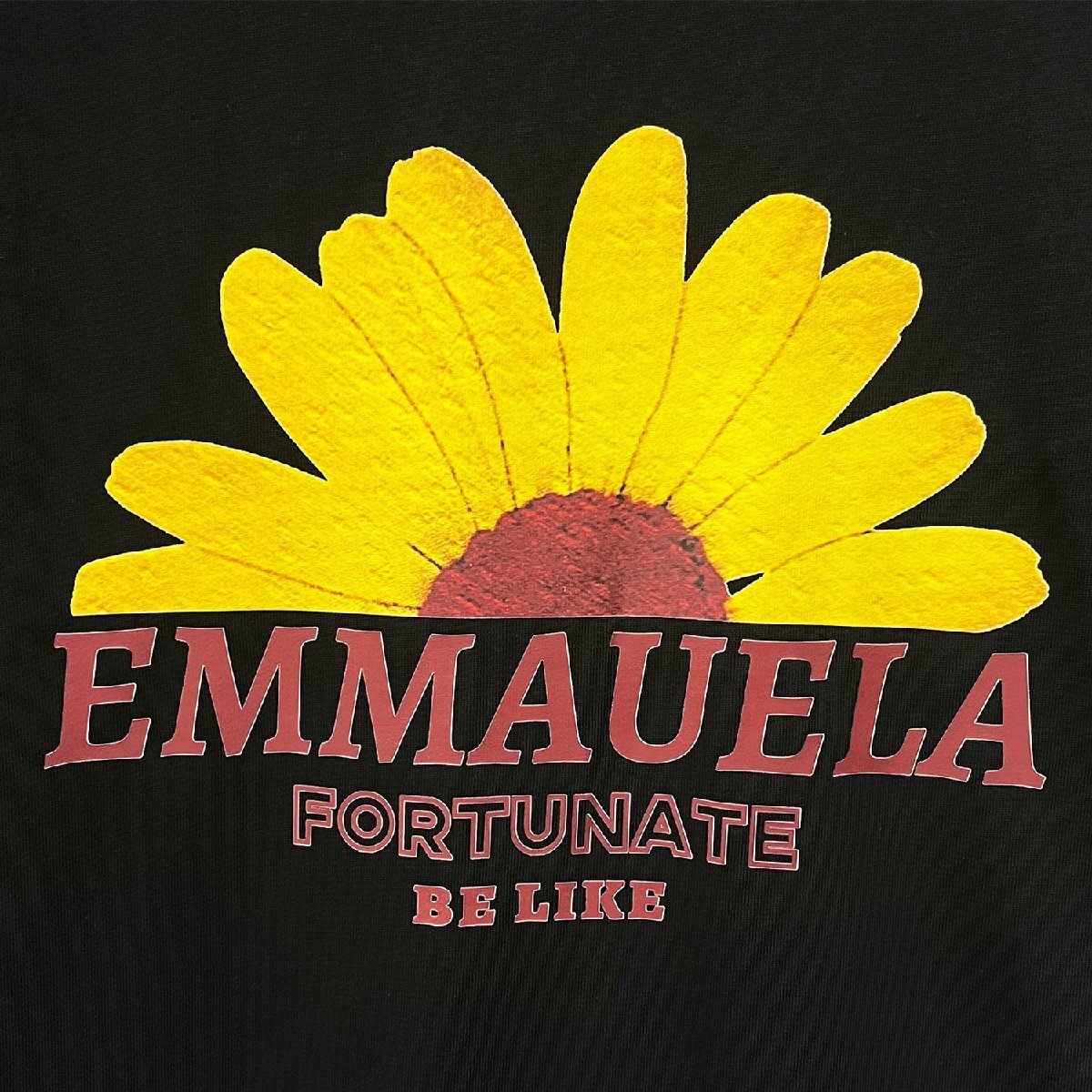 上品・半袖Tシャツ 定価2万◆Emmauela・イタリア・ミラノ発◆コットン100％ 快適 高級 通気 おしゃれ 菊 スウェット カットソー トップスL_画像6