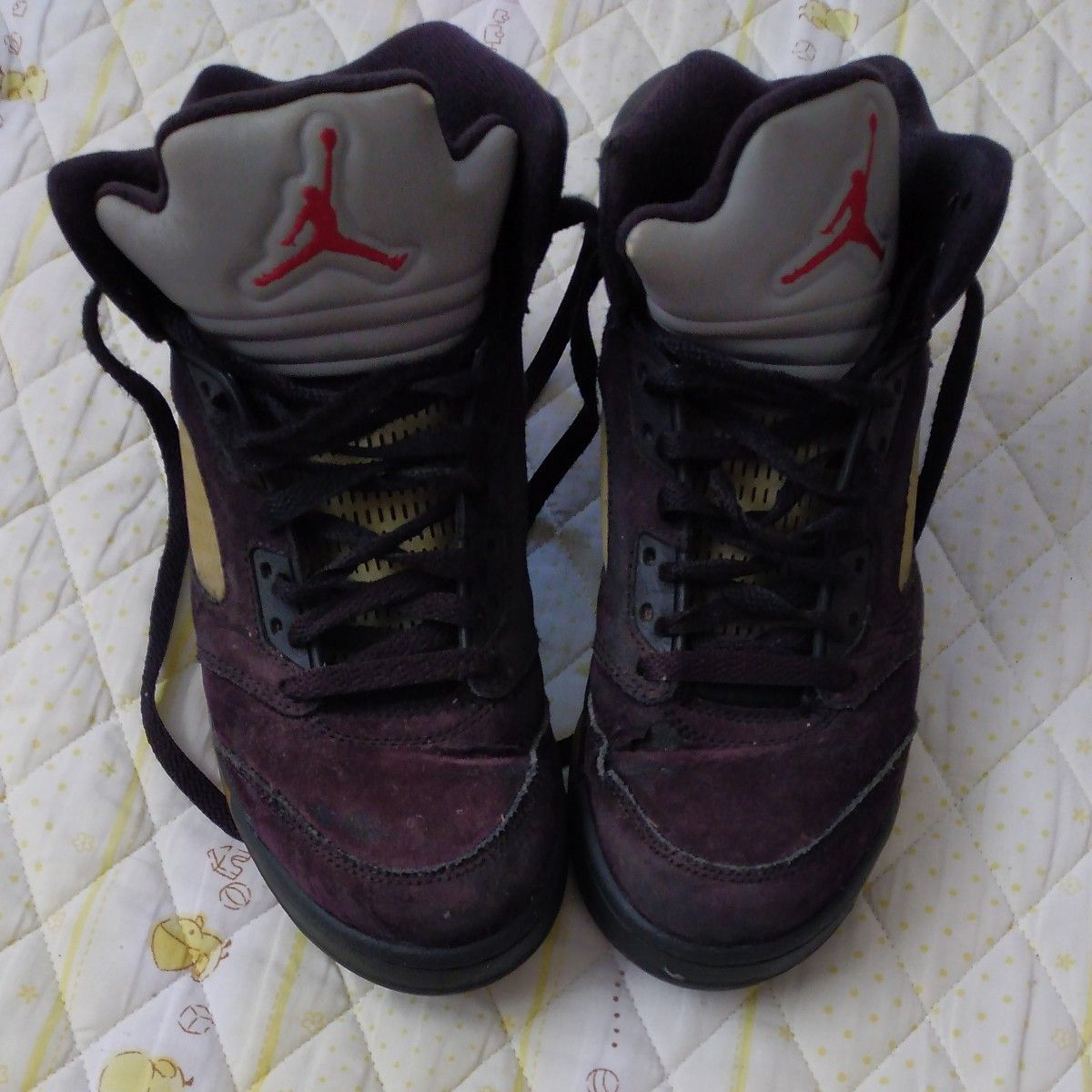 NIKE AIR JORDAN5　　25cm中古品