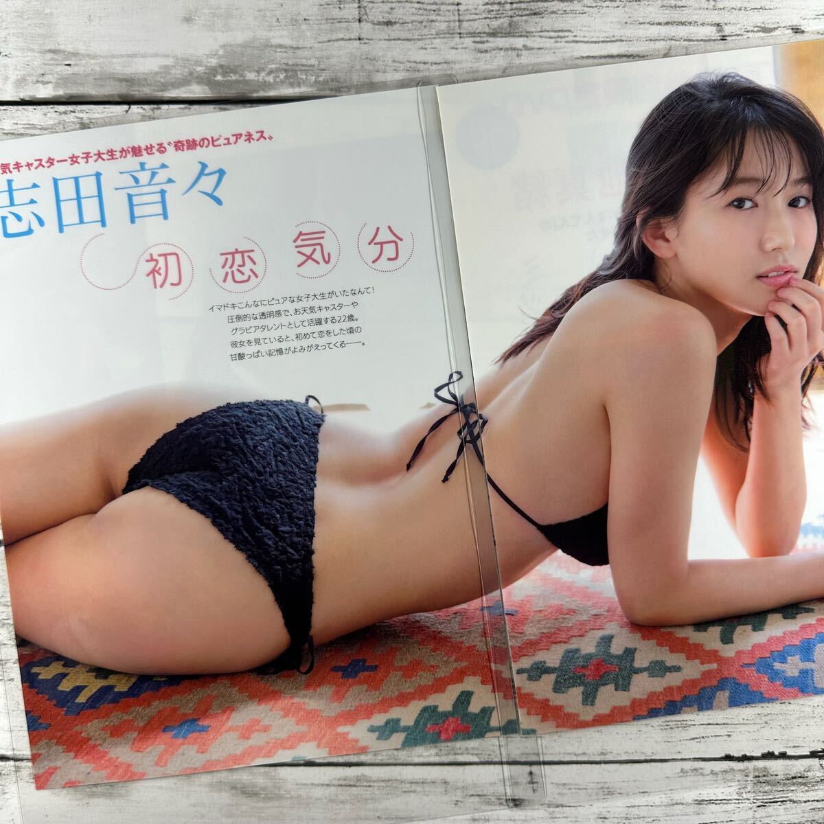 [ high quality laminate processing ][. rice field sound .] magazine scraps 7P A4 film swimsuit bikini model performer woman super 