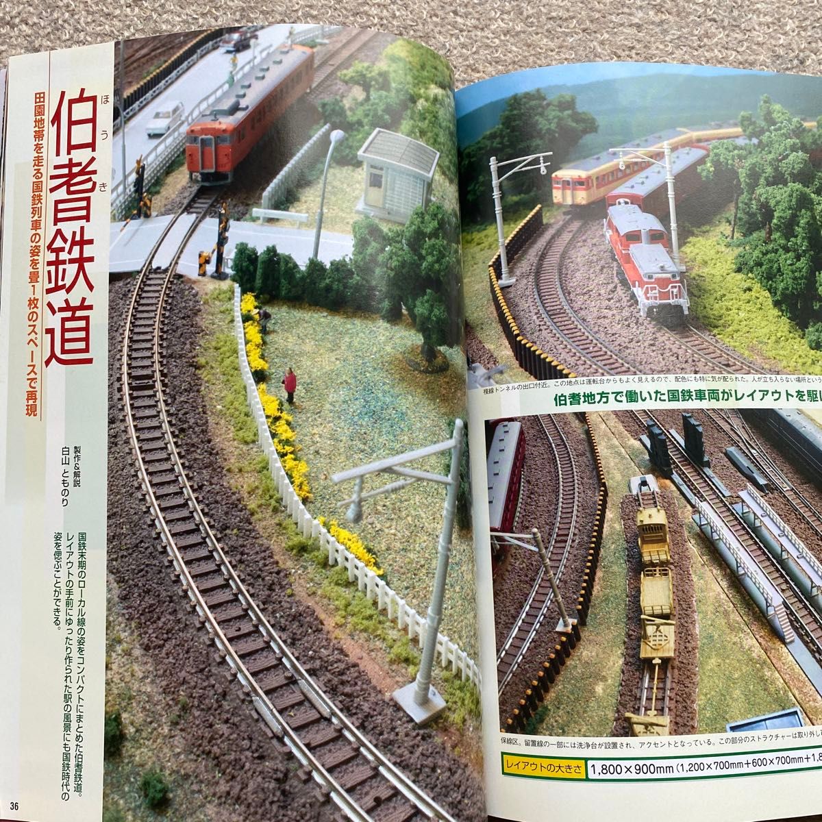 鉄道模型Ｎゲージを楽しむ　２０１０年版 （ＳＥＩＢＩＤＯ　ＭＯＯＫ） 成美堂出版編集部／編集