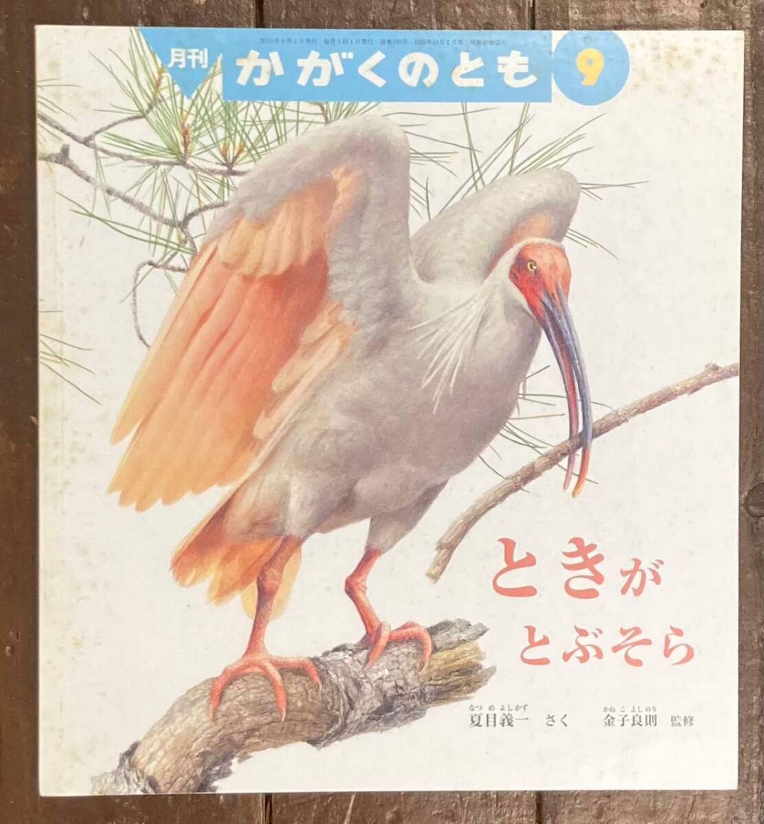 【即決】ときがとぶそら/夏目義一/金子良則/かがくのとも 498号/2010年/福音館書店/絵本/科学/ペーパーバック/鳥/朱鷺/生態_画像1