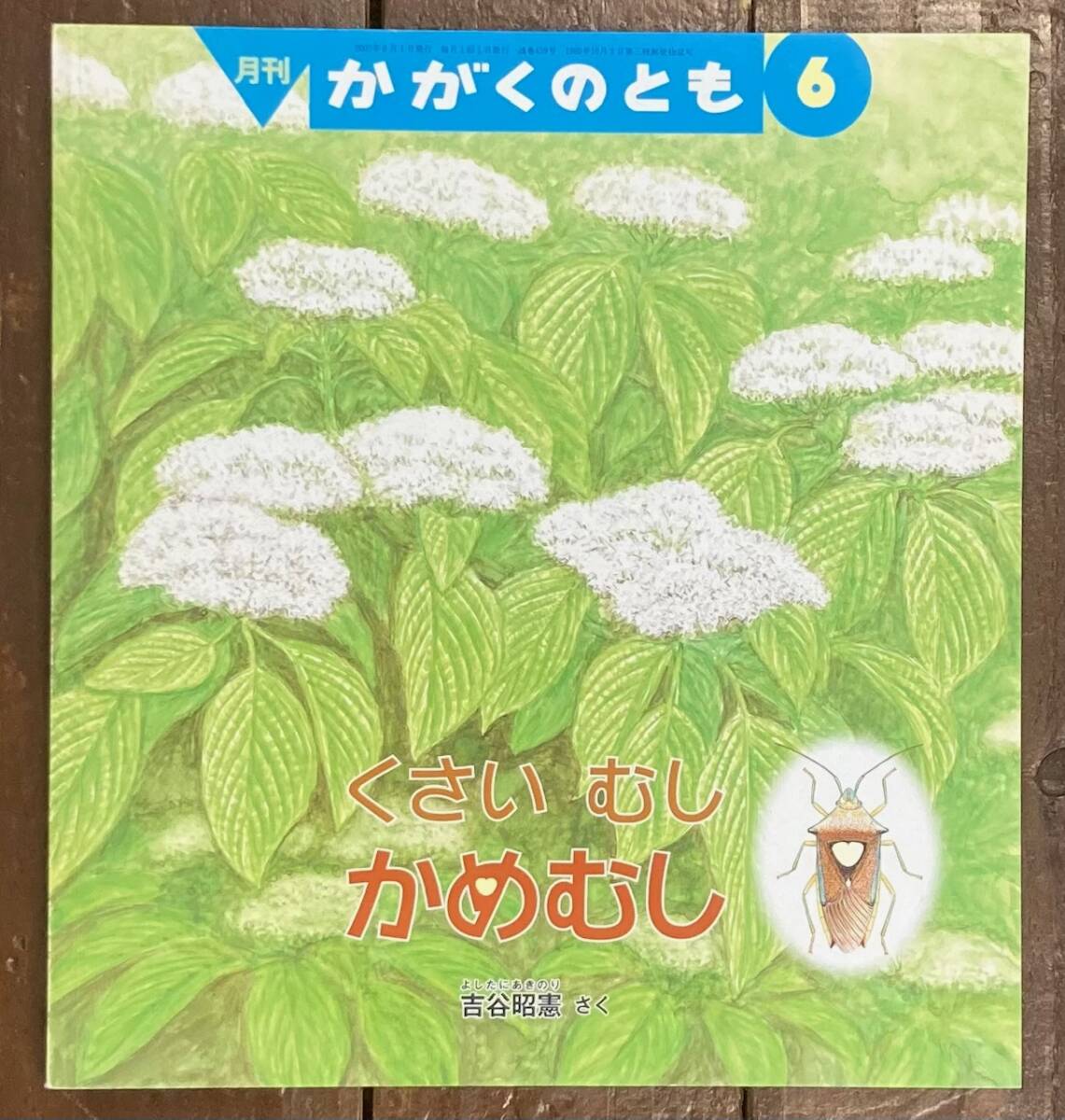 【即決】くさいむし かめむし/吉谷昭憲/かがくのとも 459号/2007年/福音館書店/絵本/科学/ペーパーバック/ カメムシ /生態/幼虫_画像1