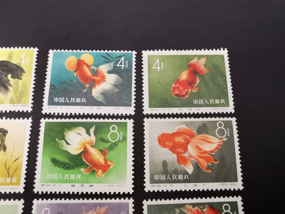 150906S62-160414S1■中国切手■特38 金魚シリーズ 12種完 未使用 中国人民郵政の画像3