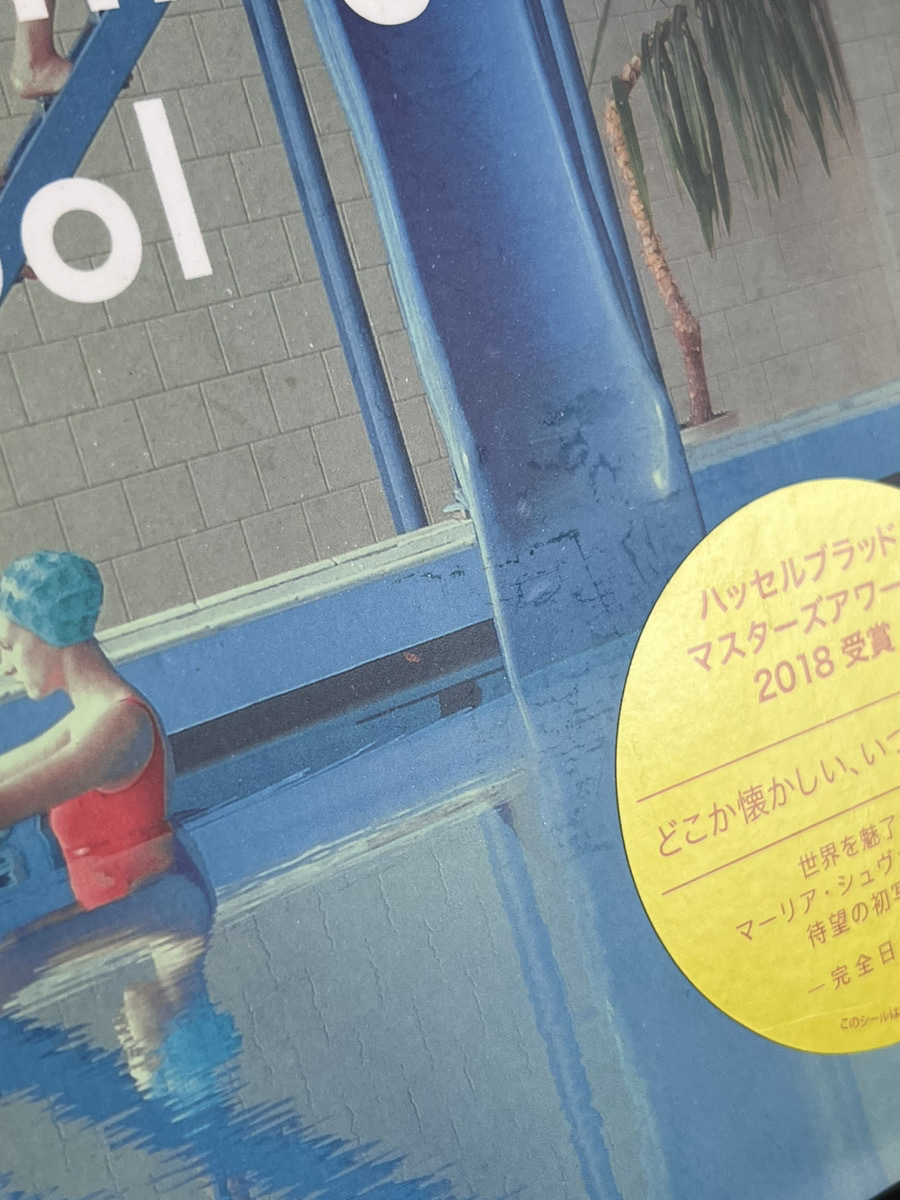 13118-03★青幻舎 Swimming Pool マーリア・シュヴァルボヴァー 完全日本語版★の画像9