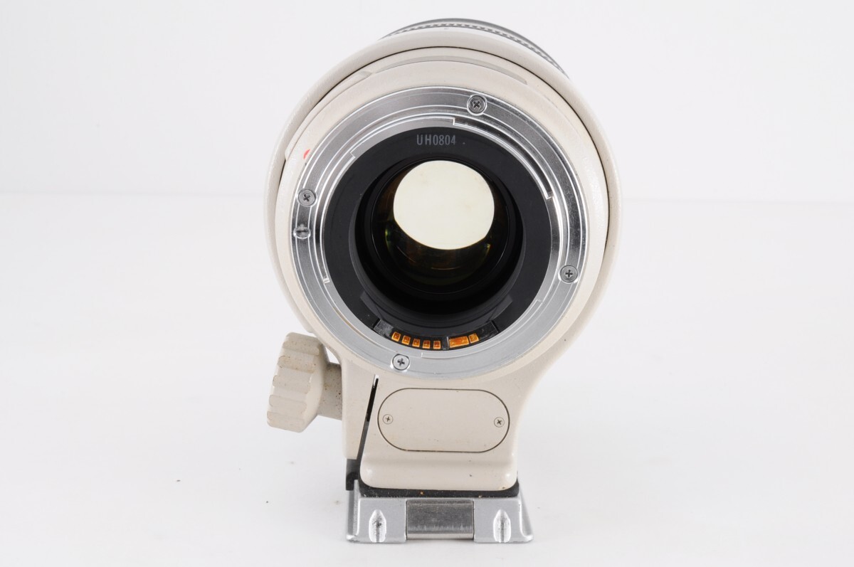 Canon キャノン ZOOM LENS EF 35-350mm 1:3.5-5.6 L ULTRASONIC USM 望遠 ズーム レンズ フード ケース付 一眼レフ カメラ AF RL-52S/105の画像7