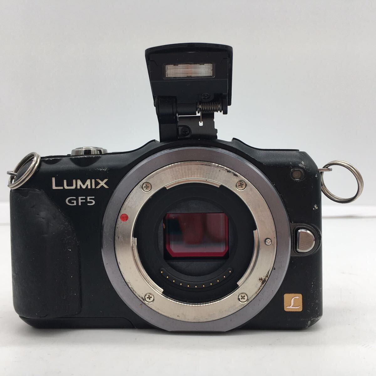 パナソニック LUMIX DMC-GF5 G VARIO 14-42mm F3.5-5.6 レンズキット ミラーレス 一眼レフ SDカード8GB・充電器・バッテリー付 動作確認済の画像5