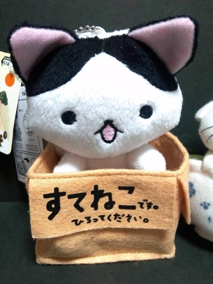 ★にゃんにゃんにゃんこ『にゃんこ温泉ぬいぐるみ』＋『すてねこです。ひろってください。ぬいぐるみ』★サンエックス★２００５年の画像3