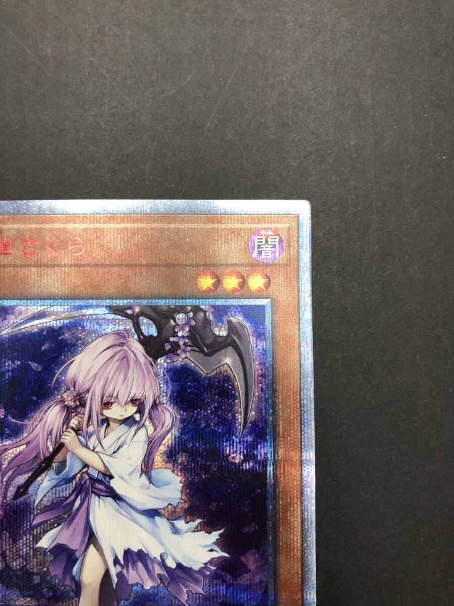 【1099】トレカ 遊戯王 浮幽さくら 20thレア （20CP-JPF10）プレイ用 中古品の画像4