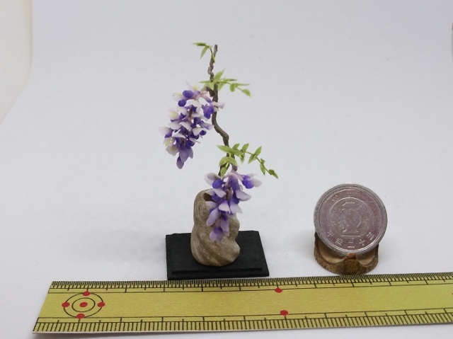 maco's miniature flower♪藤の花の生け花♪の画像3