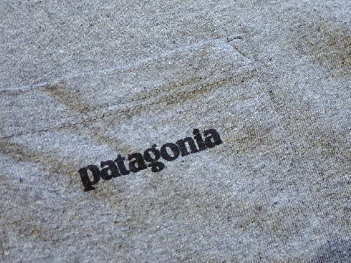 【patagonia パタゴニア】メンズsize(M)コットン＆ポリエステル製Tシャツ☆グレーの画像5
