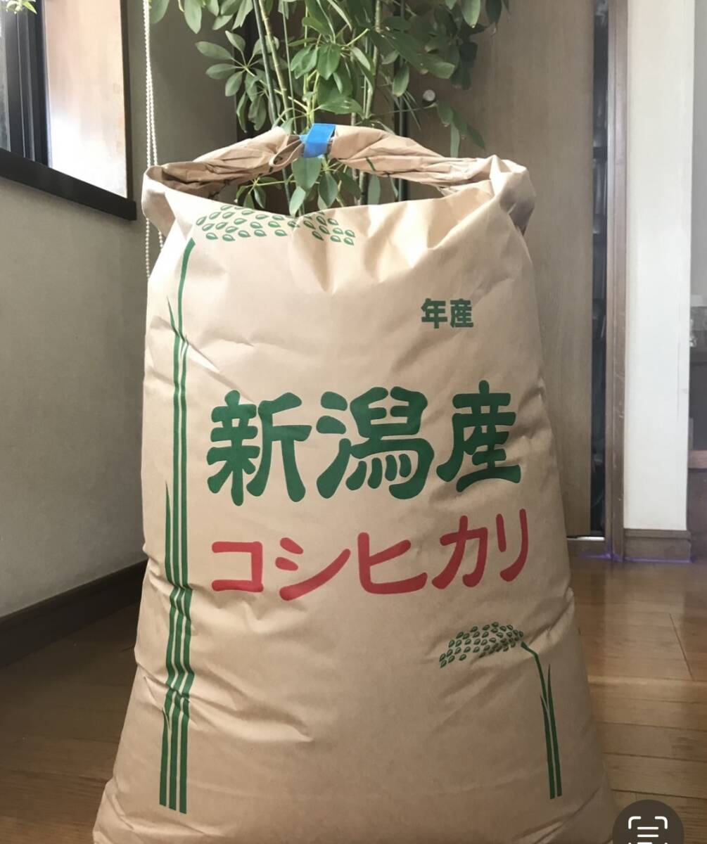 うっま〜ぃ新潟産 ☆コシヒカリ 25kg_画像3