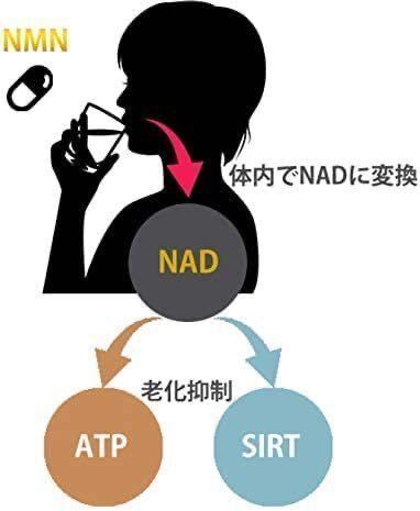 ⑧１２個セット お得 β‐NMN１５０００ サプリメント NMN １粒２５０ｍｇ 60粒入り 高含量 高純度の画像4