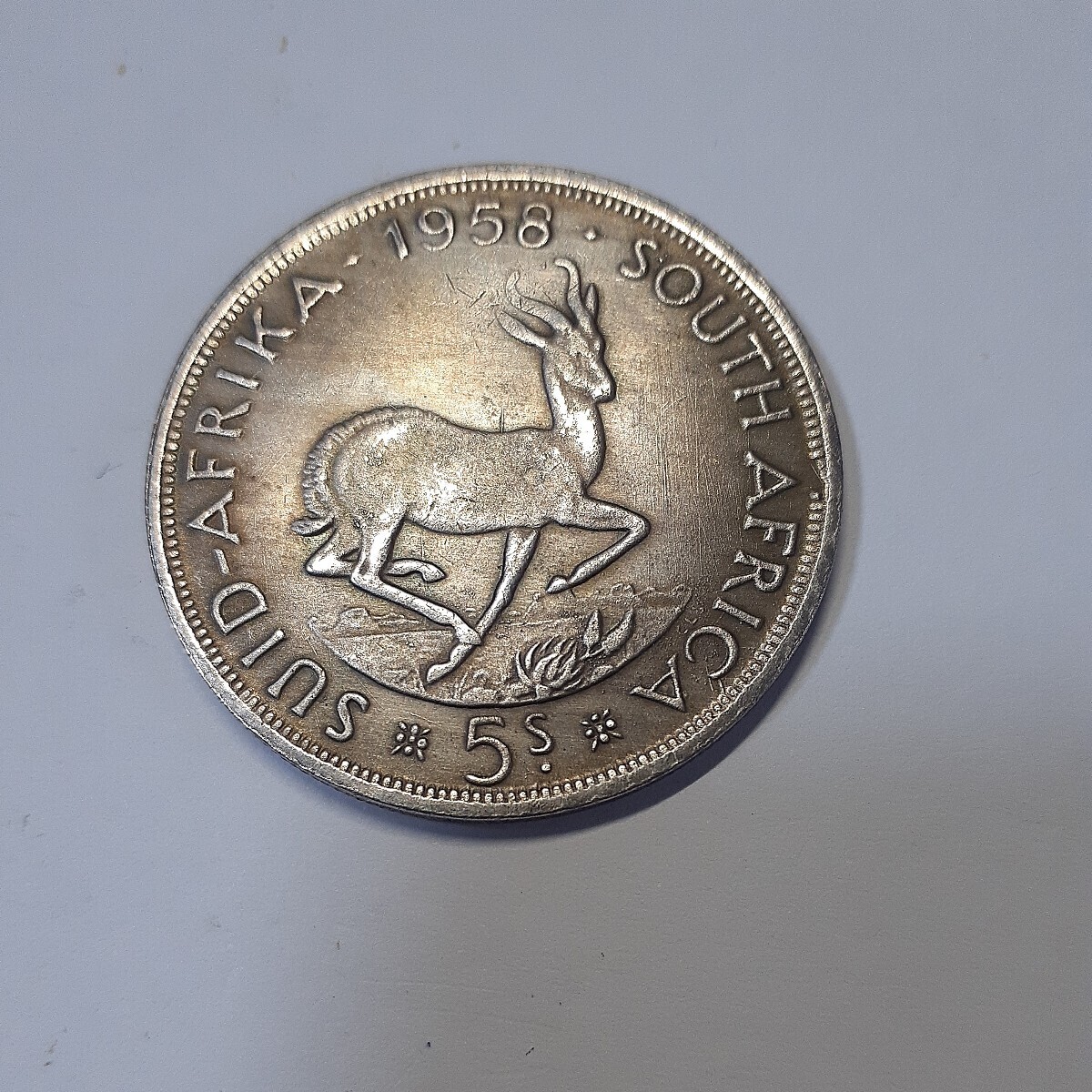 南アフリカ 硬貨 古銭 エリザベス2世 1958年 イギリス領南アフリカ スプリングボック 跳羚羊 コイン 直径:約38mm 重量:約20.5gの画像1