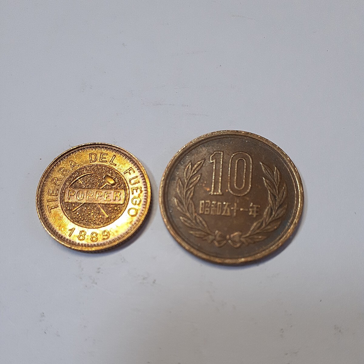 アルゼンチン 硬貨 古銭 ティエラ・デル・フエゴ 1889年 ピック ハンマー グラモス 鉱物土壌 記念幣 コイン 金貨 直径:約18mm 重量:約4.0gの画像3