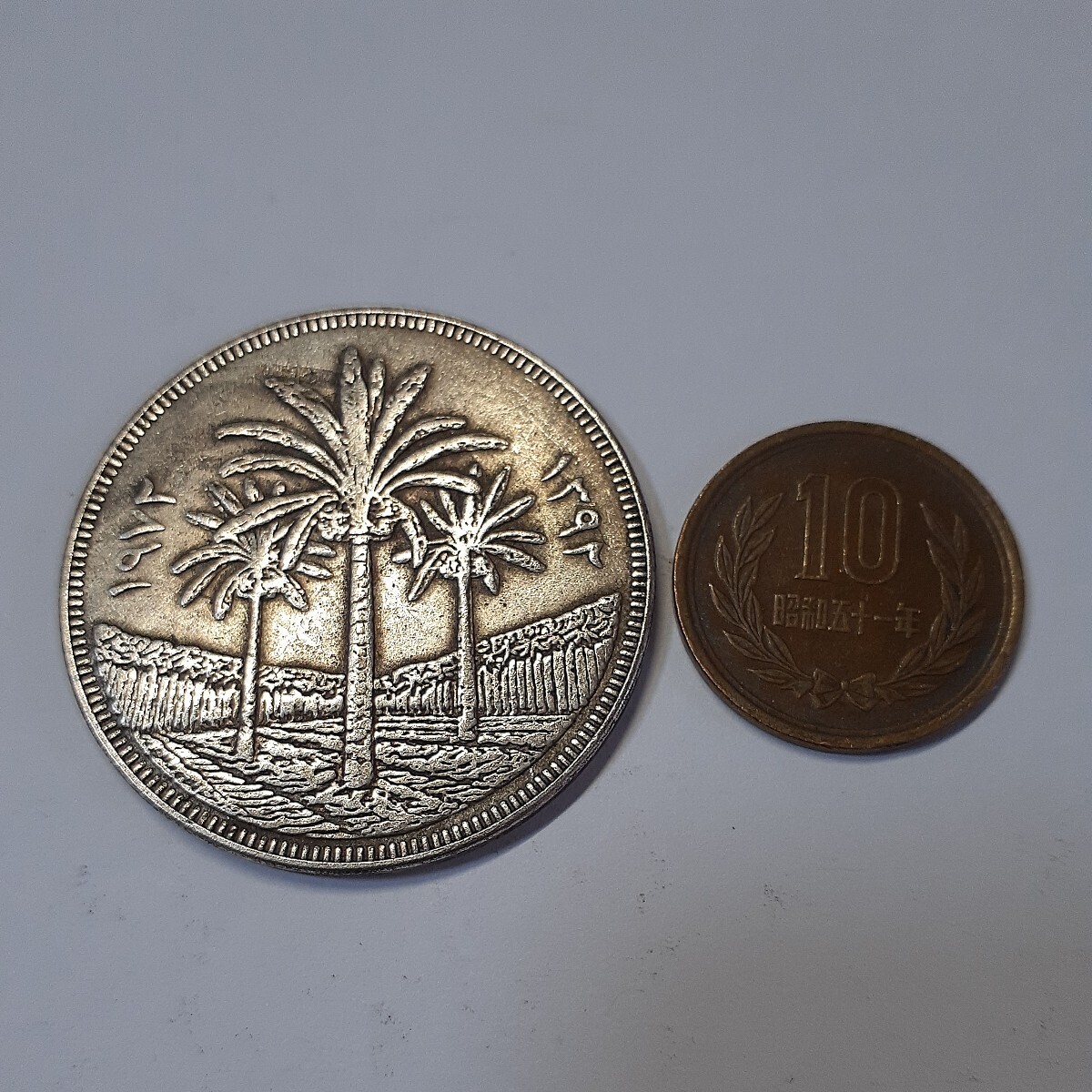 イラク 銀貨 硬貨 中央銀行創立25周年 1972年 バグダッド イラク中央銀行銀聖年 銘 ヤシの木 ディナール 記念幣 直径:約40mm 重量:約24.5gの画像3