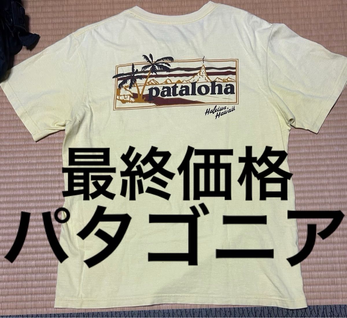 パタロハ　tシャツ  パタゴニア