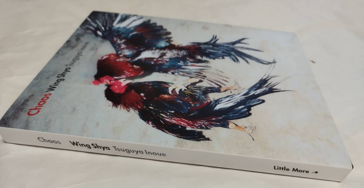 格安 定価16500円 「 ウィン・シャ Chaos 写真集 」 井上嗣也 関連検索 香港 レスリー・チャン ウォン・カーウァイの画像7