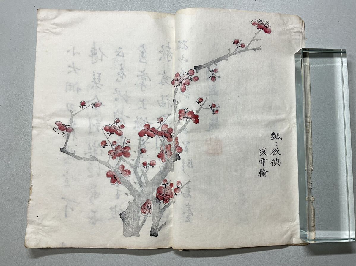 唐本「十竹齋書画譜」1冊 梅譜 木板套印本 白紙 和本唐本漢籍古書中国の画像5