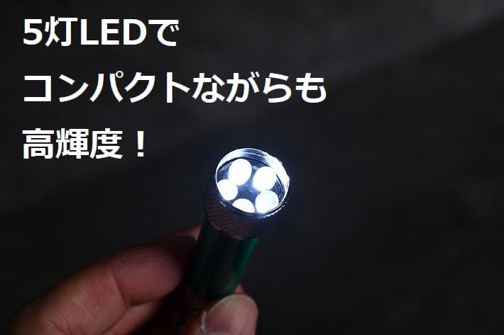 お得な5個セット LEDライト キーホルダー 小型LEDライト キーライト 高輝度 5灯 LR44 ボタン電池 LTG 7987626 5本セット 新品 1円 スタート_画像7