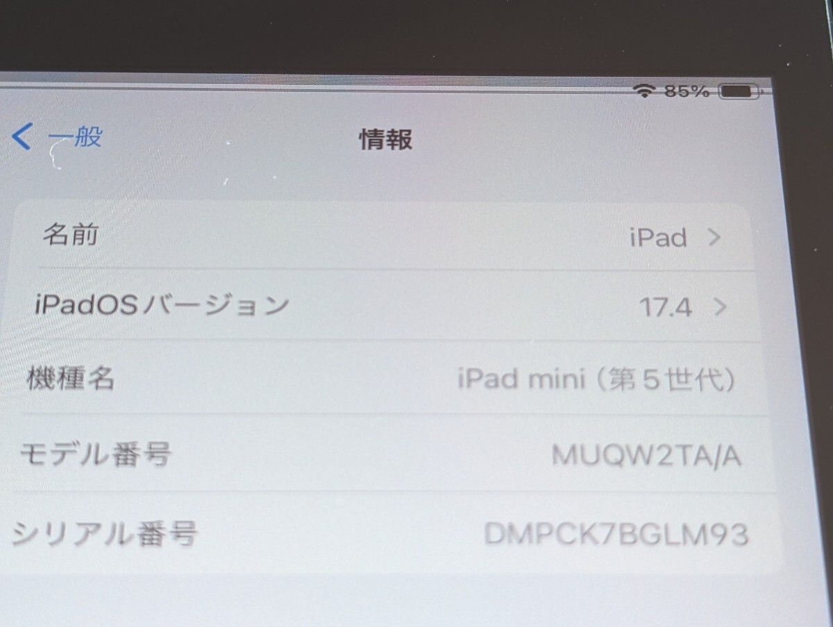 Apple iPad mini5 64GB Wi-Fi スペースグレー アクティベーションロック解除済み動作確認済み