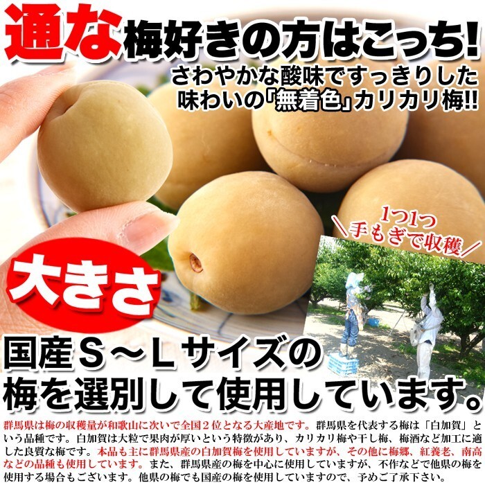 カリカリ梅 500g 無着色 お徳用 国産 かりんこ梅 ウメボシ うめぼし 梅干し 着色料不使用 ヘルシー 国内製造 個包装 白加賀 大粒 肉厚 果肉_画像4