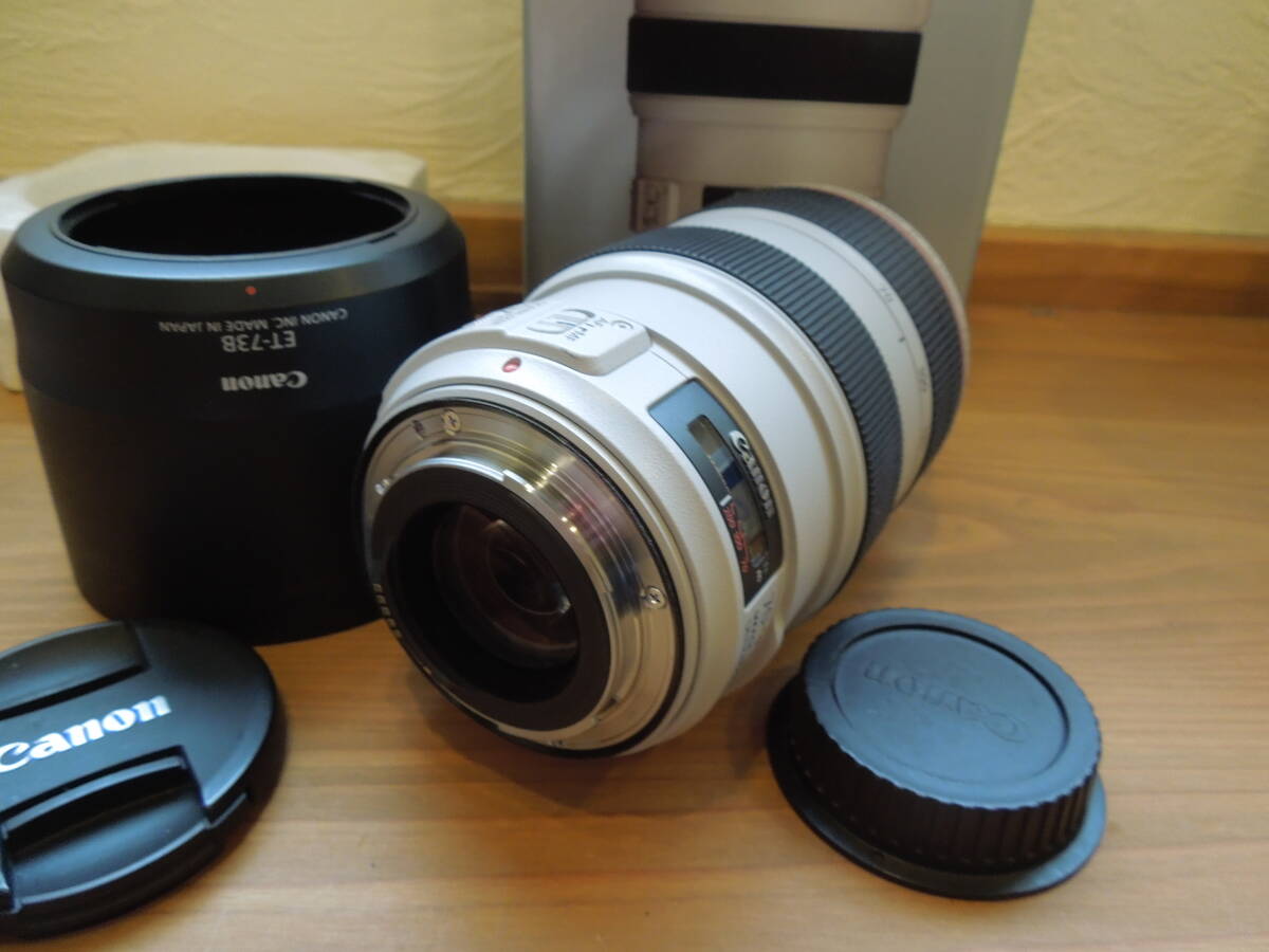 【美品】Canon キャノン EF 70-300 f/4-5.6L IS USM EF70-300 F4-5.6 L IS USM 元箱付属の画像6