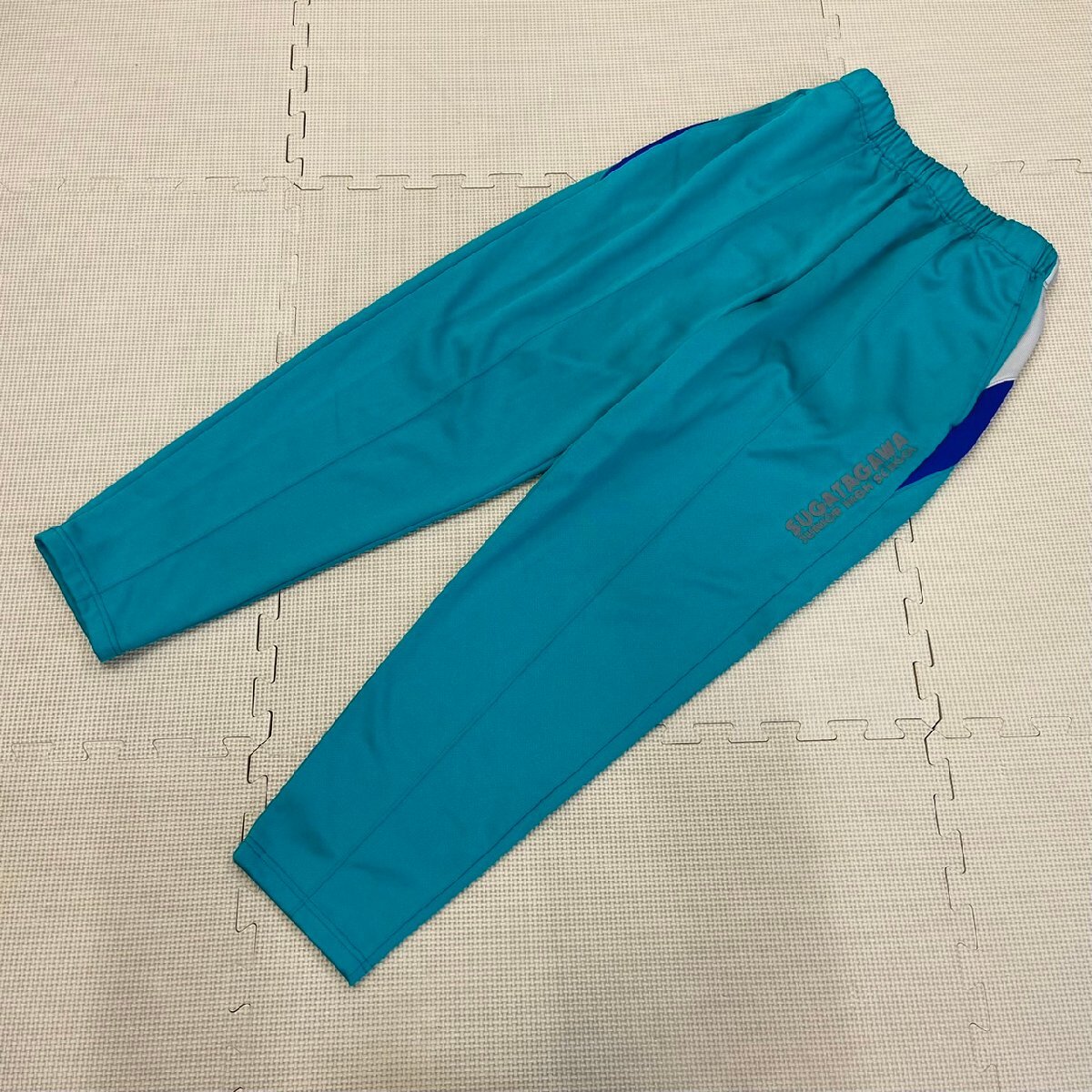 Y600/T181( used ) Tochigi prefecture . river junior high school gym uniform 4 point / designation goods /L/LL/ long sleeve /tore shirt / long trousers / shorts / blue green series / jersey / physical training put on / man ./ short period put on 