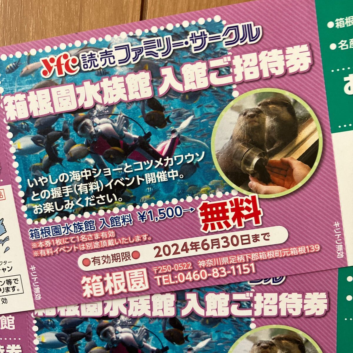 箱根園水族館 入館ご招待券 2枚セット 2024年6月30日までの画像2
