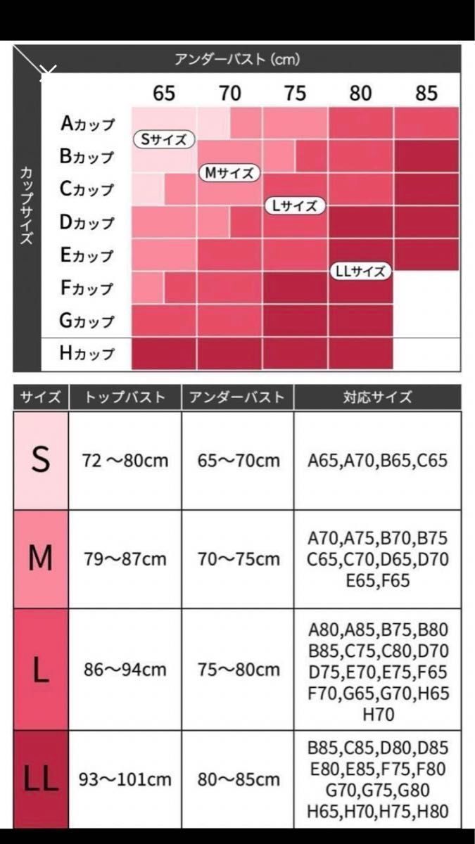 アップミースタイリングブラ AGARISM×GYDA  ナイトブラ L ブラック　2点セット