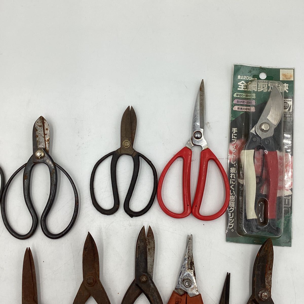 k4313 pruning . summarize 23 point set . go in source structure GERMANY..... scissors . pruning bonsai gardening gardening plant garden garden tree used 