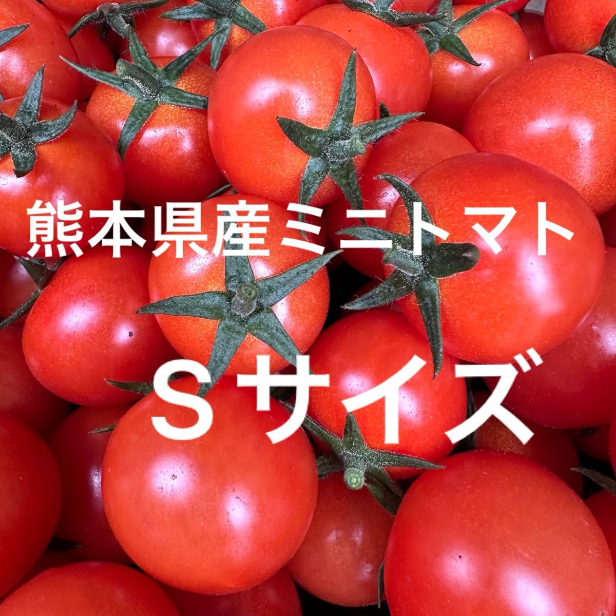 熊本県産 ミニトマト Sサイズ 900g 新品種 TYみわく