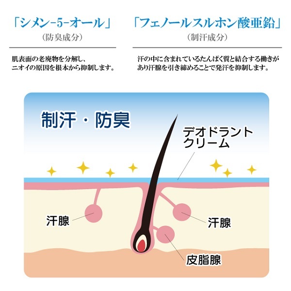 在庫あり サラーリ デオドラントクリーム シェモア chez moi 脇 ワキ汗 汗ジミ 防臭 薬用 制汗 汗臭 保湿 日本製_画像2